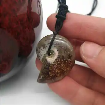 1Pcs Madagaskare Aptiko Myli Poliruoti Vienas Modelis Ammonite S sraigė Pakabukas pavyzdys Natūralių Akmenų ir Mineralų