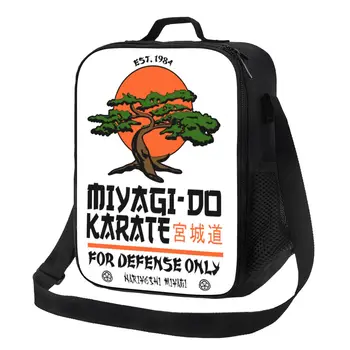 Miyagi Padaryti Karatė Nelaimės Karate Kid 
